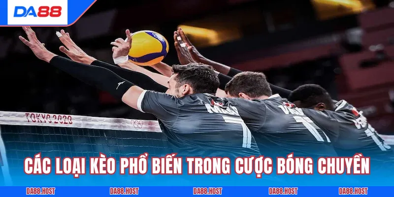 Các loại kèo phổ biến trong cược bóng chuyền